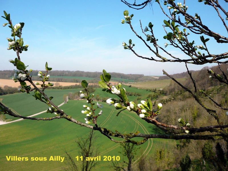 124_08 Villers.jpg